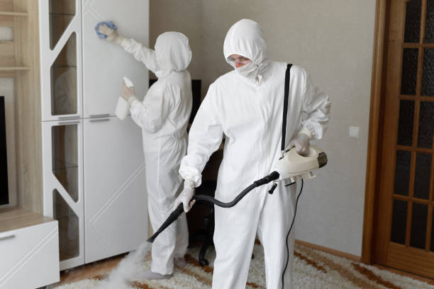 Best Attic Mold Removal  in Wolf Lake, MI