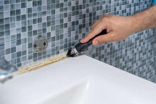 Best Office Mold Removal Services  in Wolf Lake, MI