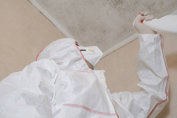 Best Emergency Mold Removal  in Wolf Lake, MI